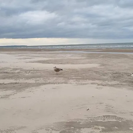 4 Star In Lokken * Gronhoj (Nordjylland)
