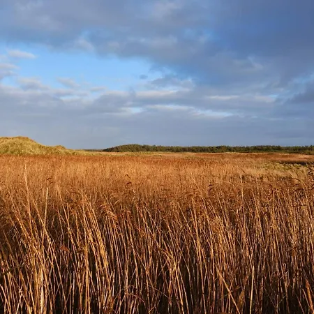 4 Star In Lokken * Gronhoj (Nordjylland)