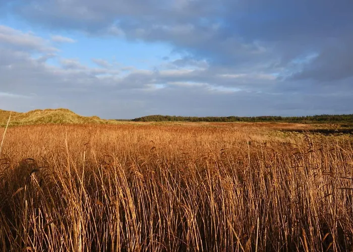 Luxury Retreat With Pool - By Traum Dom wakacyjny *