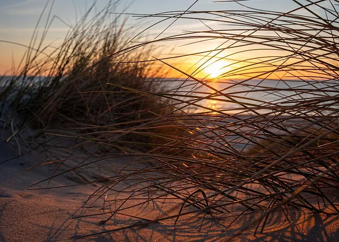 Dom wakacyjny Luxury Retreat With Pool - By Traum